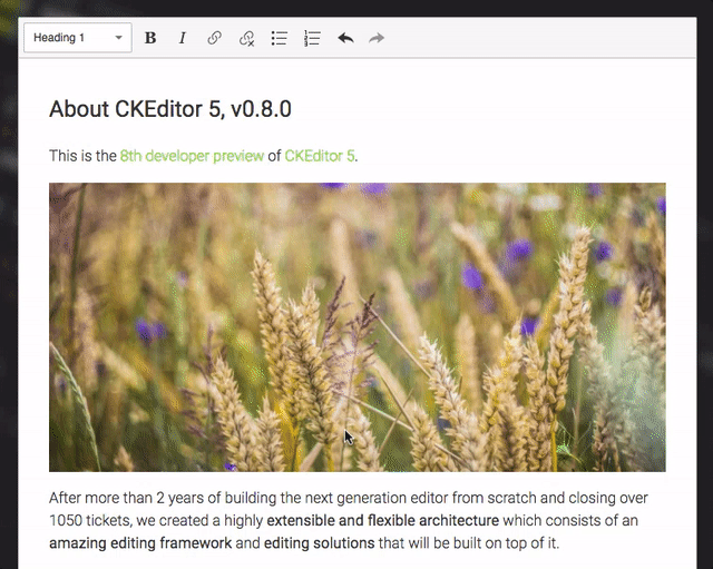CKEditor 5 v0.8.0 image feature animated gif
