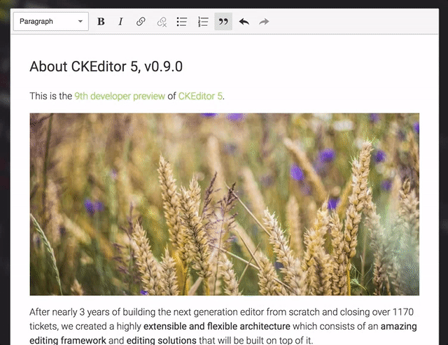 CKEditor 5 image caption placeholder preview