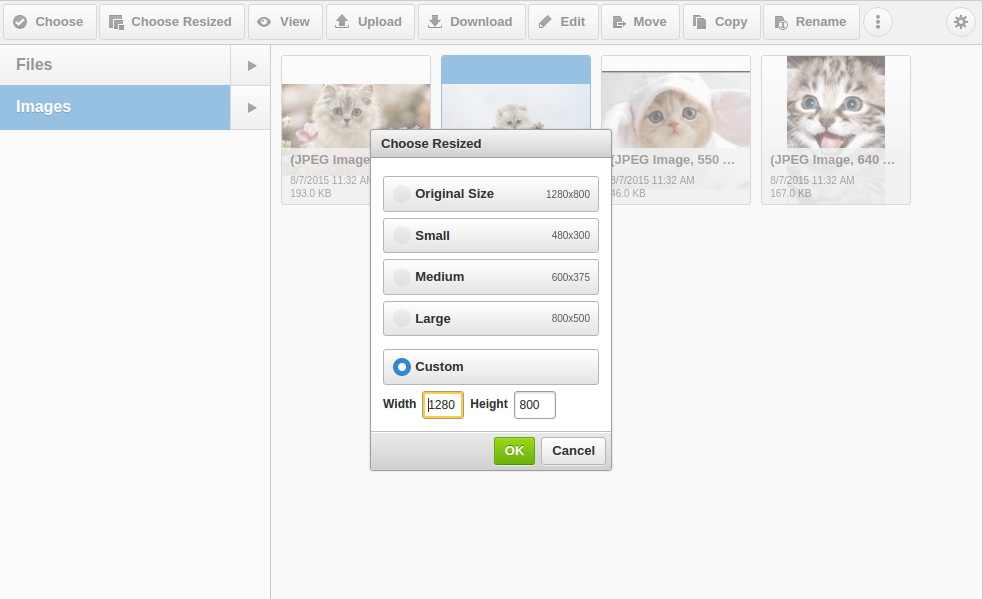 New view of CKFinder 'Choose Resized Image' dialog