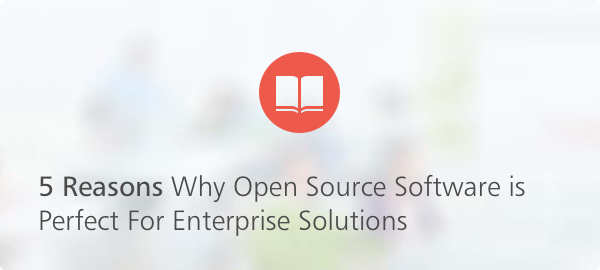 5 Reasons Why Open Source Software is Perfect For Enterprise Solutions